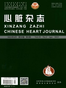心功能杂志